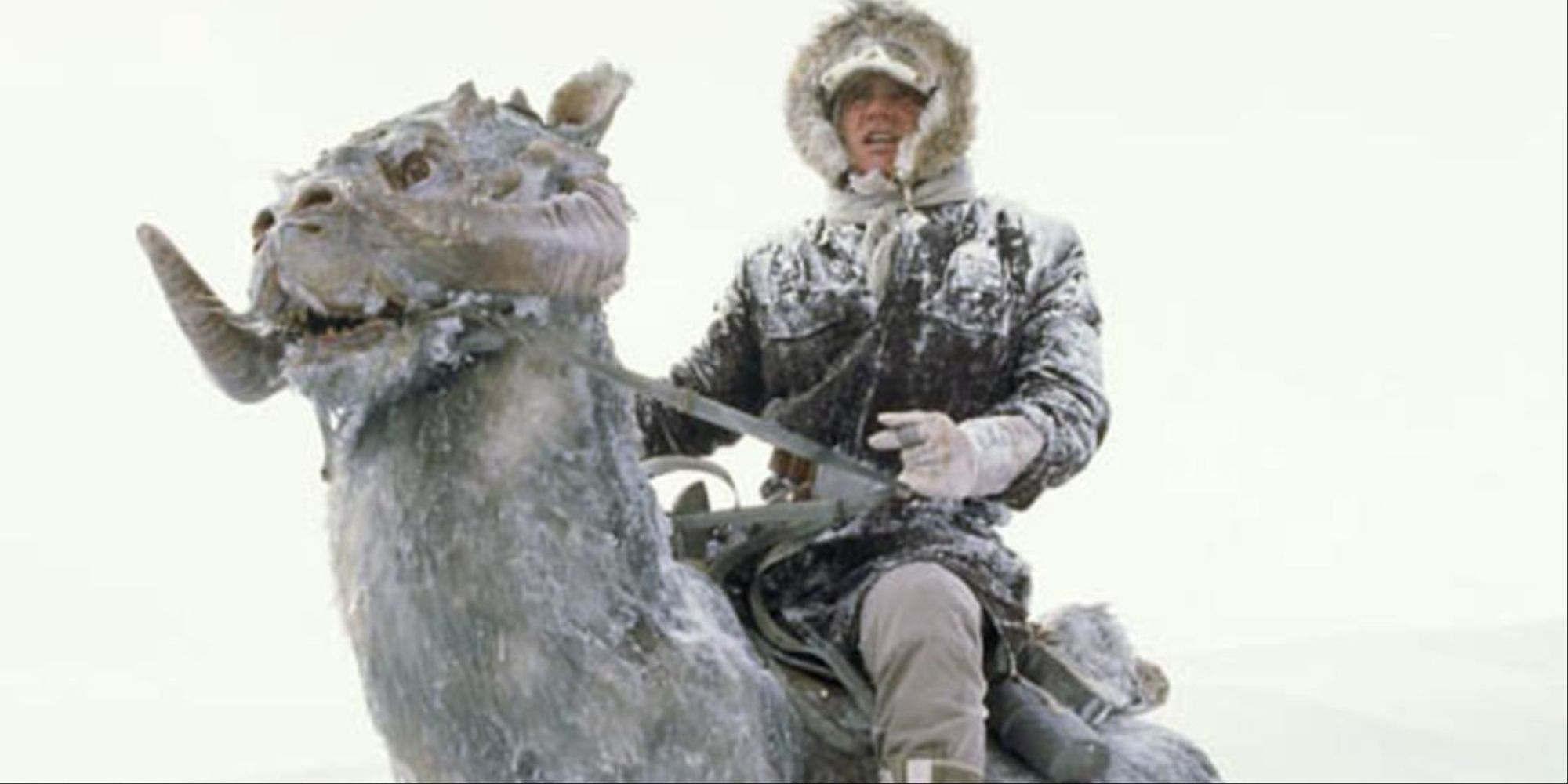 Taun Taun Han Solo Empire Strikes Back