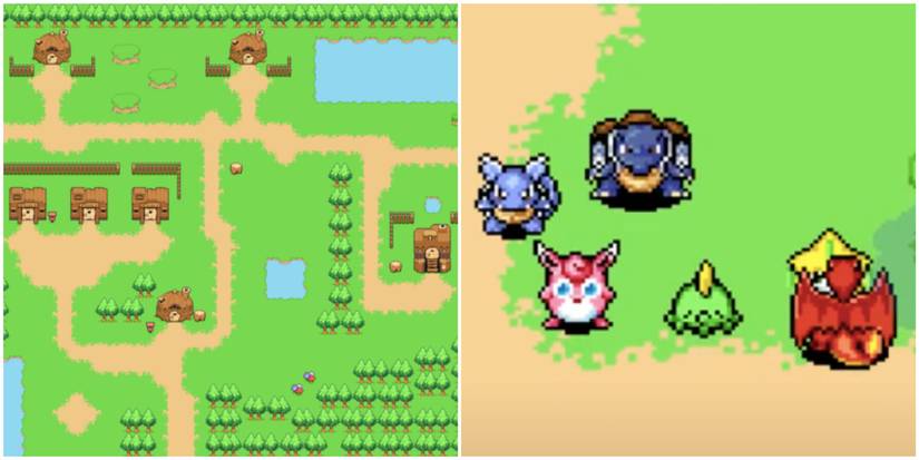 The debug room in Pokemon: Mystery Dungeon - Rescue Team