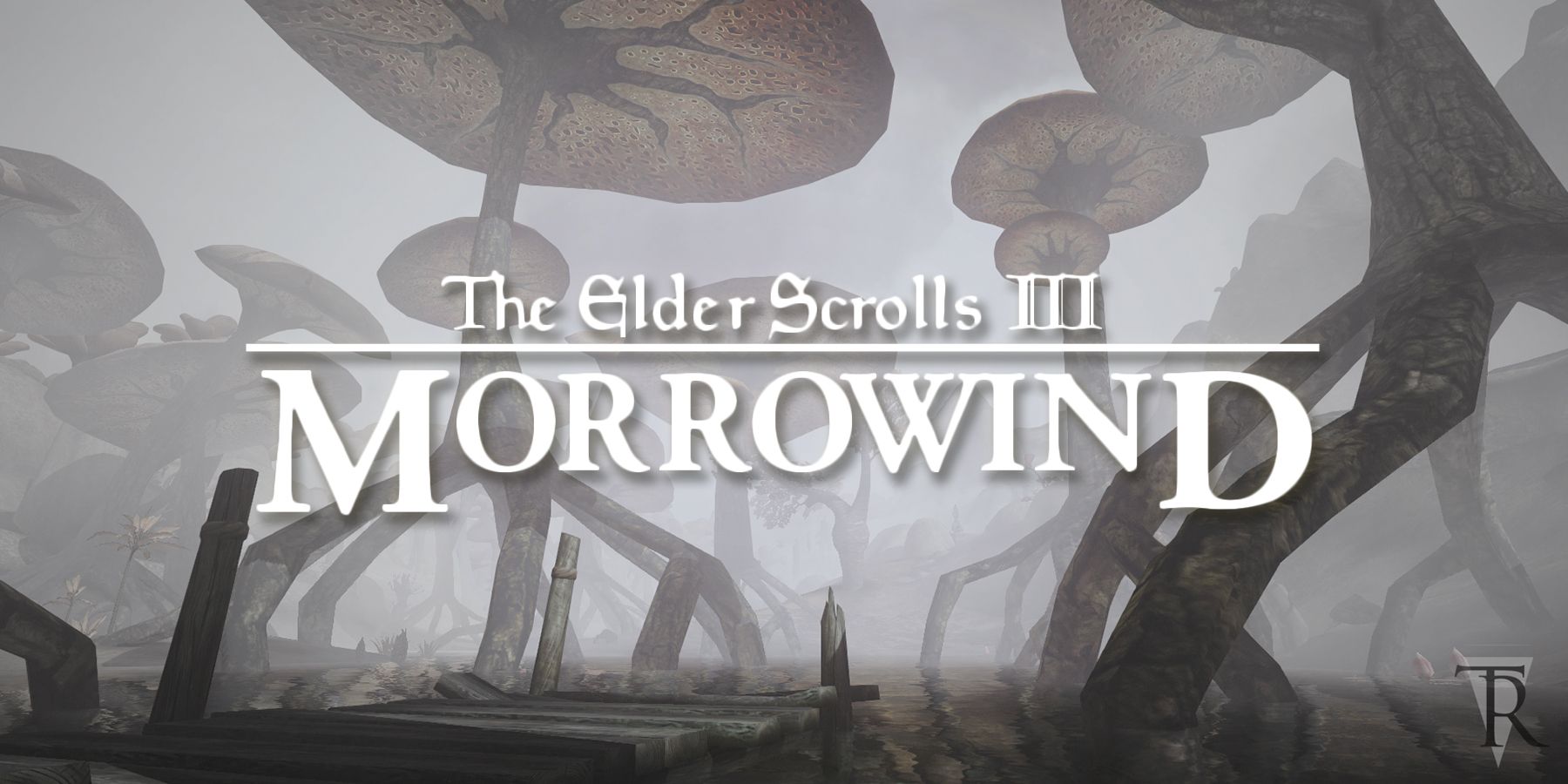 The Elder Scrolls 3 Morrowind logo over Tamriel Rebuilt promo screenshot