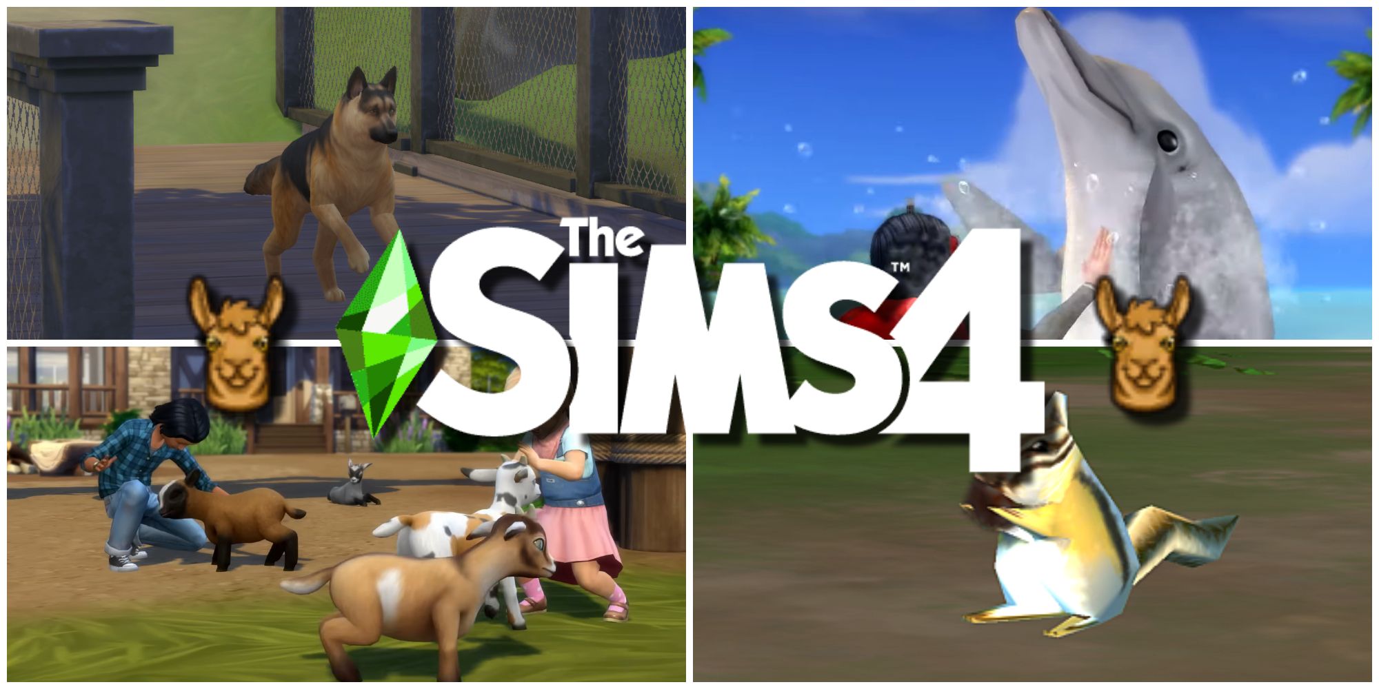 Four (a dog, dolphin, goat, and chipmunk) of many animals included in the Best Worlds For Animal-Lovers in The Sims 4.