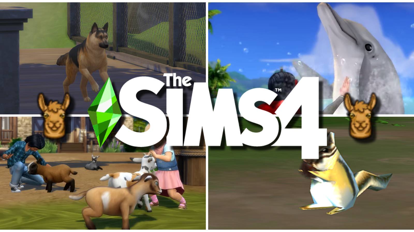 Four (a dog, dolphin, goat, and chipmunk) of many animals included in the Best Worlds For Animal-Lovers in The Sims 4.
