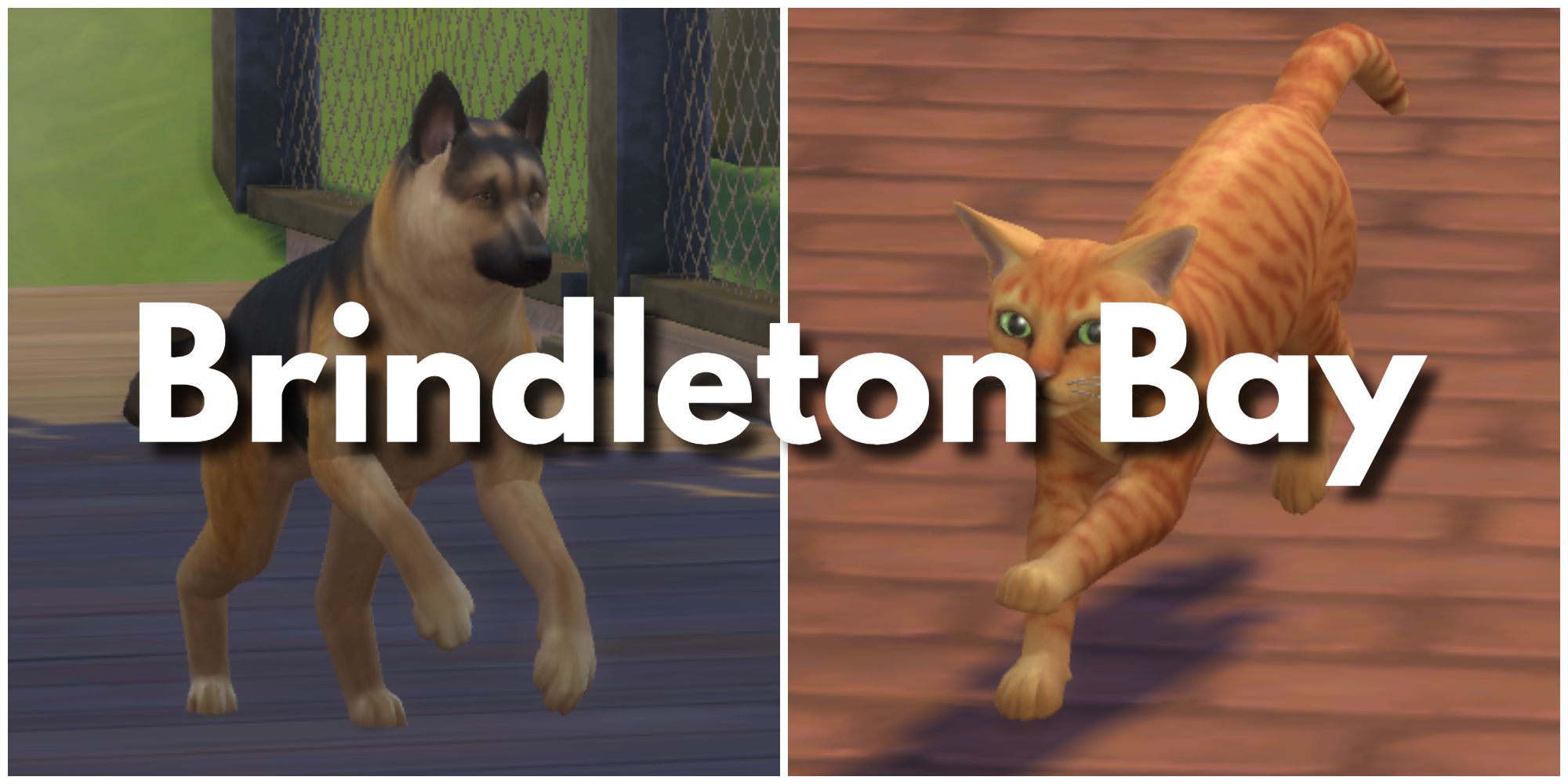 Sims can own cats and dogs, but there are also several other animals from the Cats & Dogs expansion for animal-lovers to enjoy.