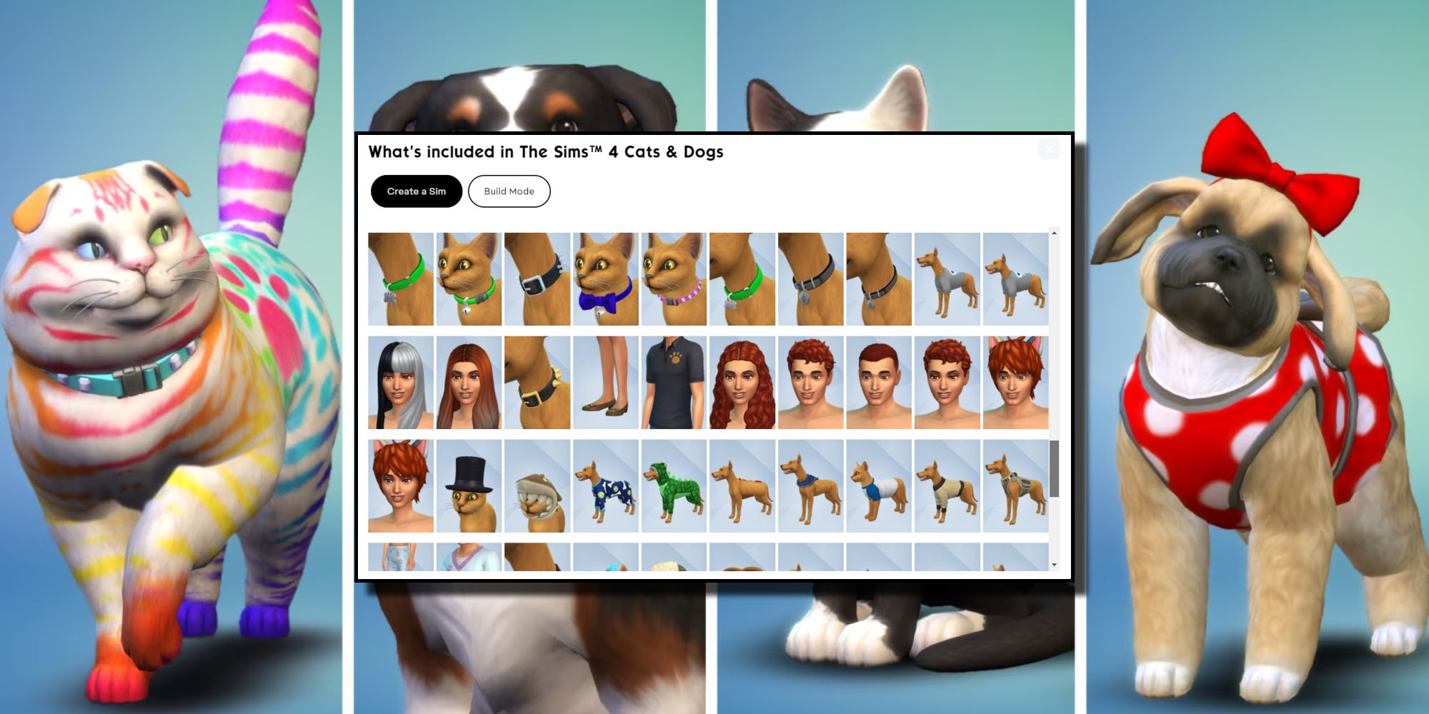 Best Packs For CreateASim In The Sims 4