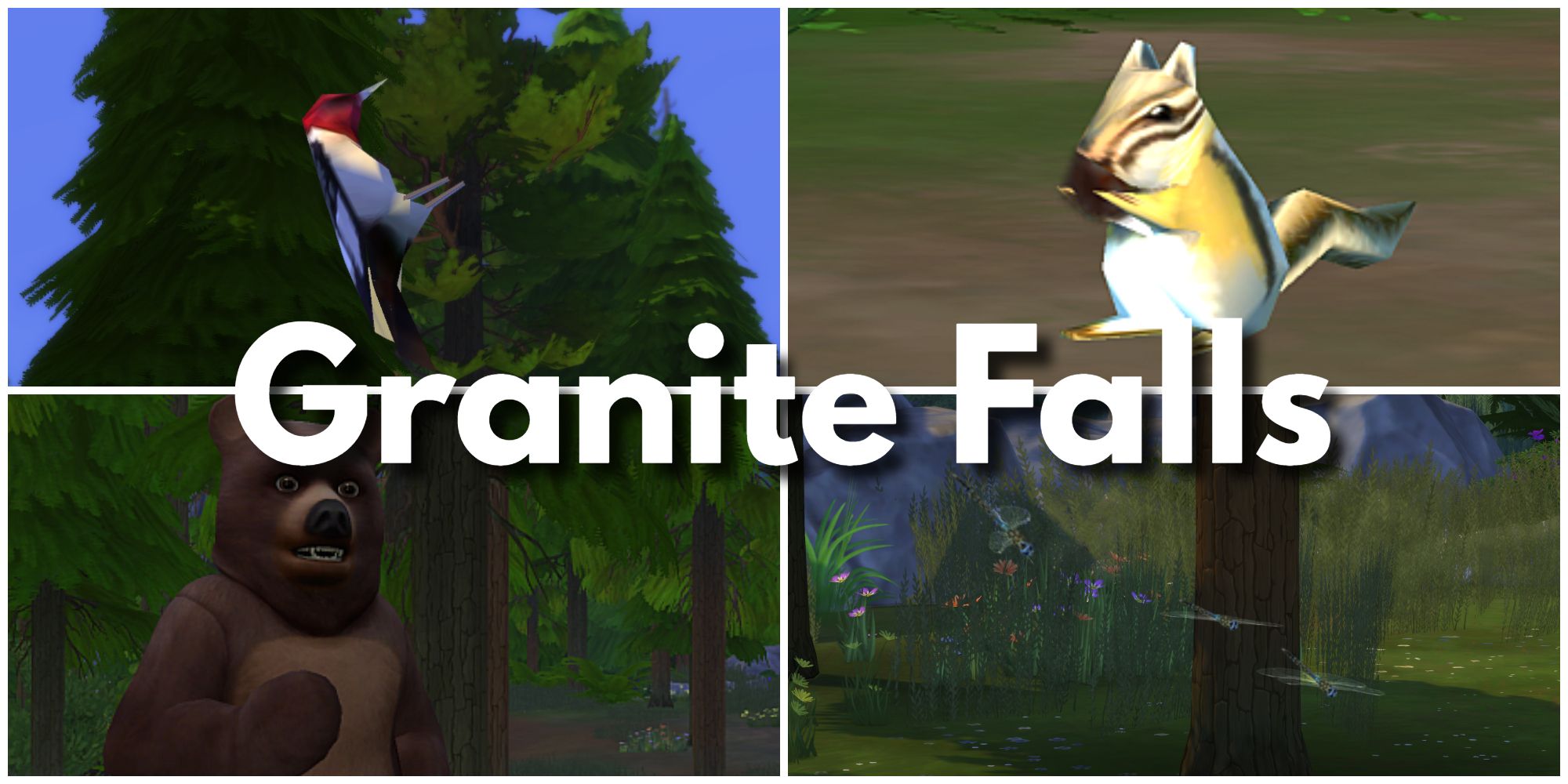 Granite Falls has a lot more animals than one might think. Here is a woodpecker, a chipmunk, insects, and a bear.