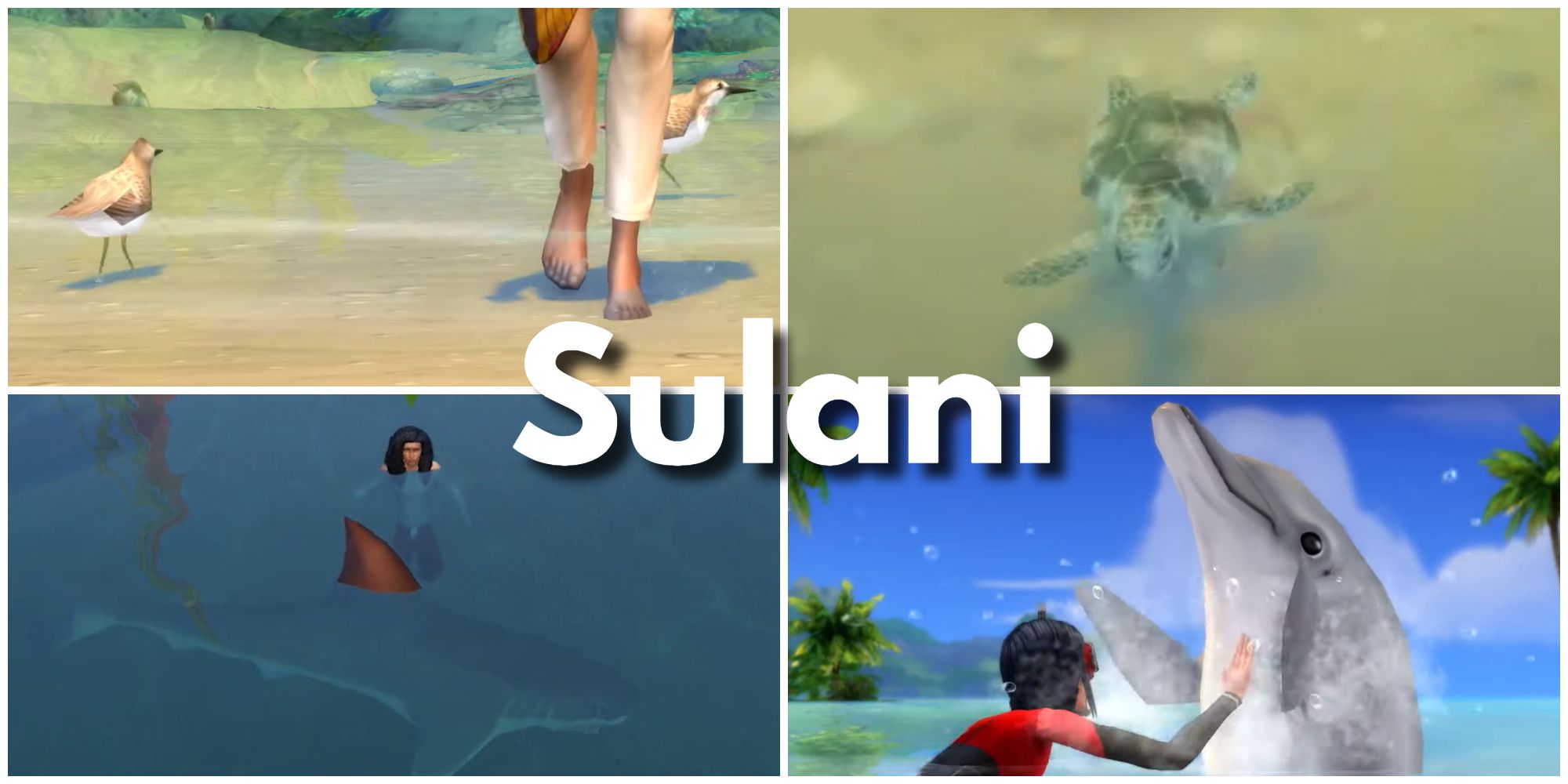 There are several species of animals for animal-lovers to enjoy in Sulani, the world from the Island Living expansion.