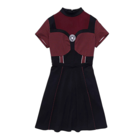 Ant-Man and The Wasp: Quantumania Cosplay Dress from the films.