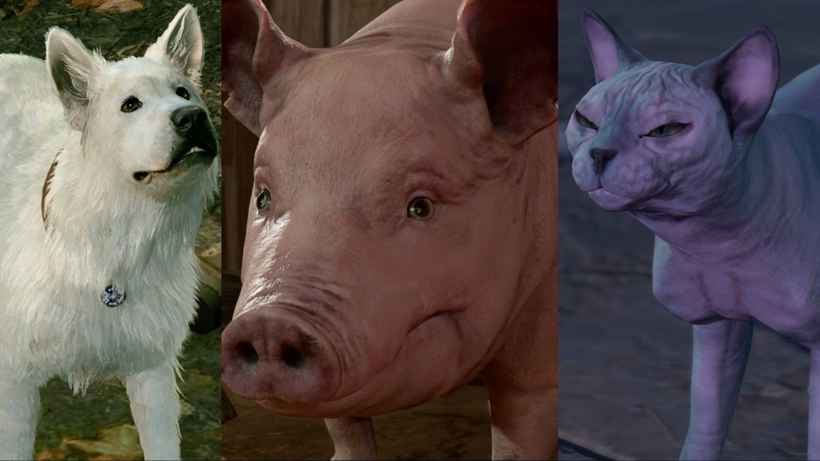 title image best ways to use talk to animals bg3