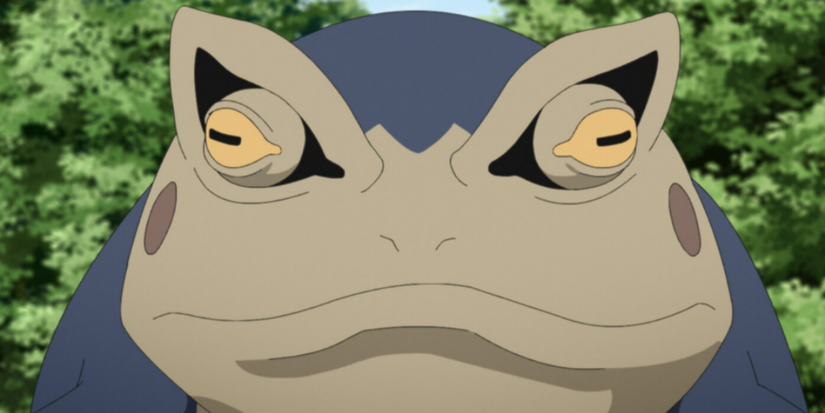 Toad boruto 