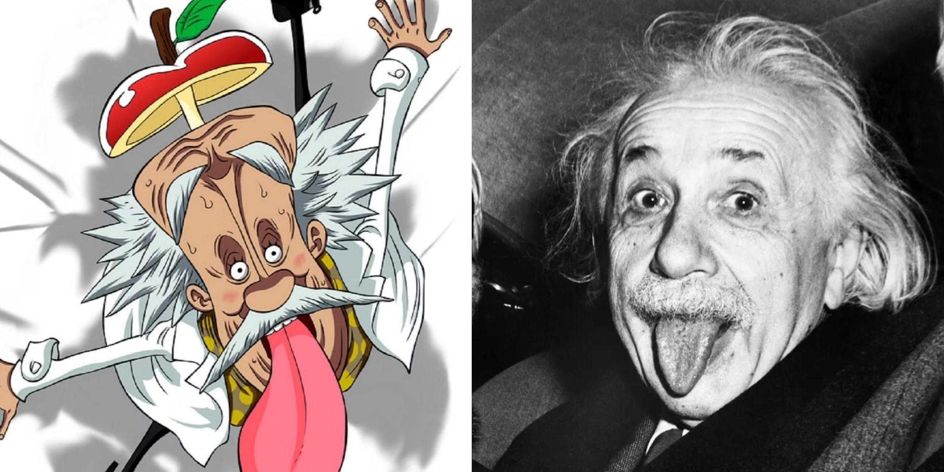 Vegapunk Stella One Piece Albert Einstein