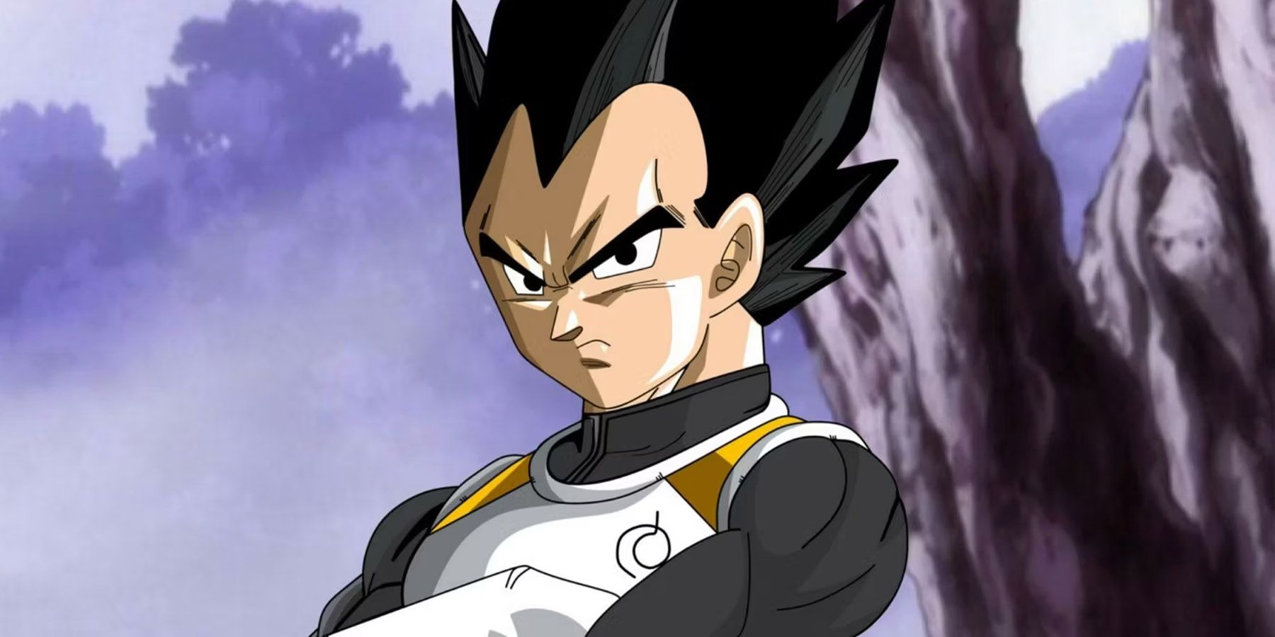 Vegeta as seen in Dragon Ball super 103