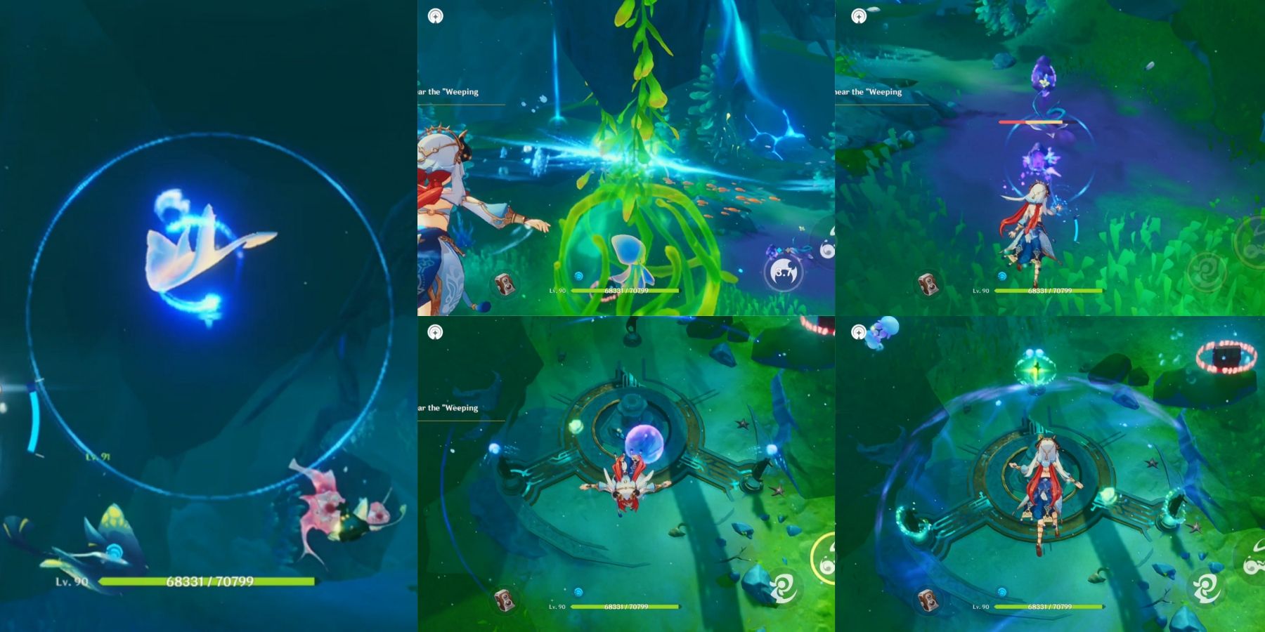 wilting weeping willow bubble guide genshin impact