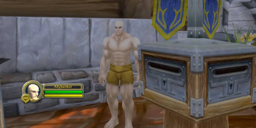 World of Warcraft Hardcore Gold Tips Guide Bank Alt WoW HC