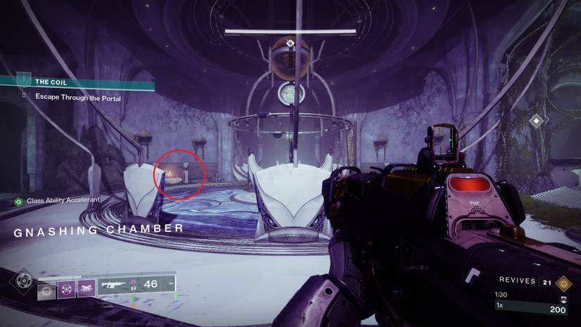 Starcat in the Gnashing Chamber in Destiny 2