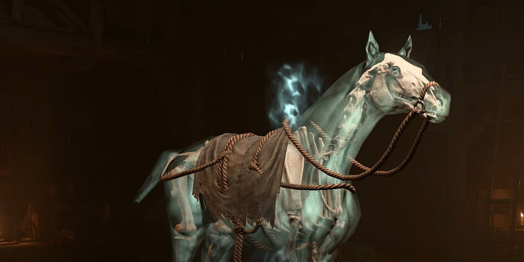 A Horse in Diablo 4