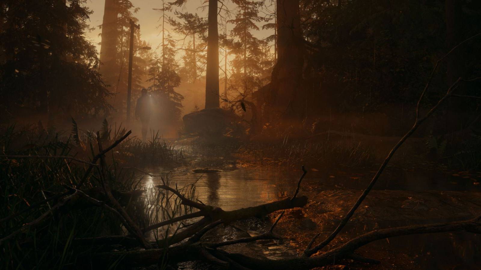 alan wake 2 saga on lake shore at dusk