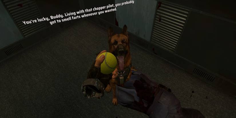 arizona sunshine 2 dog