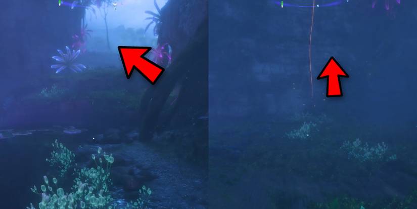 avatar fop frontiers of pandora cross the water and stay on the left to lifet vine