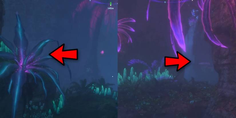 avatar fop frontiers of pandora find nor tapestry falls cliff