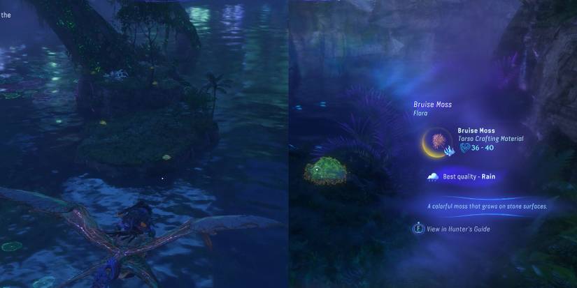 avatar fop frontiers of pandora get exquisite bruise moss