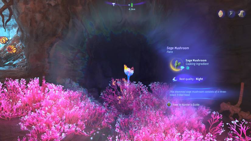 avatar frontiers of pandora sage mushroom location