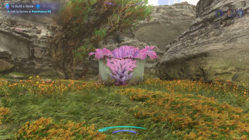 avatar frontiers of pandora shaded waterweed location