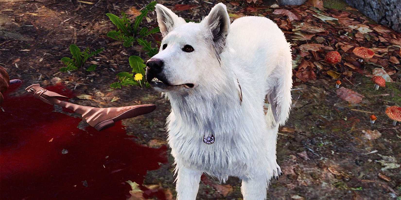 baldur's gate 3 scratch fetch runepowder barrel honour mode fail