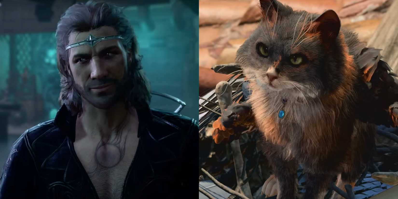 Gale The Wizard And Tara The Tressym, A Winged Cat, Sat In A Nest