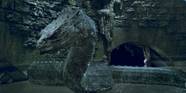 Harry Potter The Origins Of The Basilisk