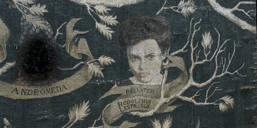 Blood traitors blasted off from family tree tapestries in Harry Potter