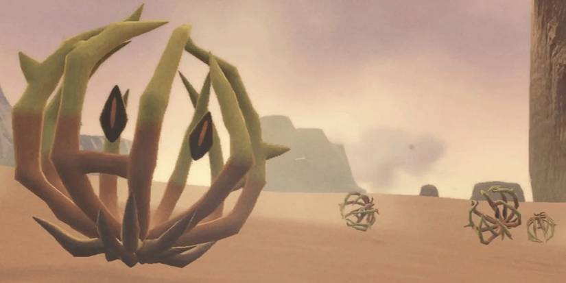 Bramblin wandering a desert
