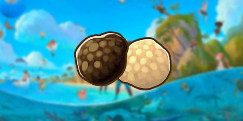 white and black truffle mushroom in coral island.