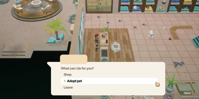 how to adopt pet in coral island.