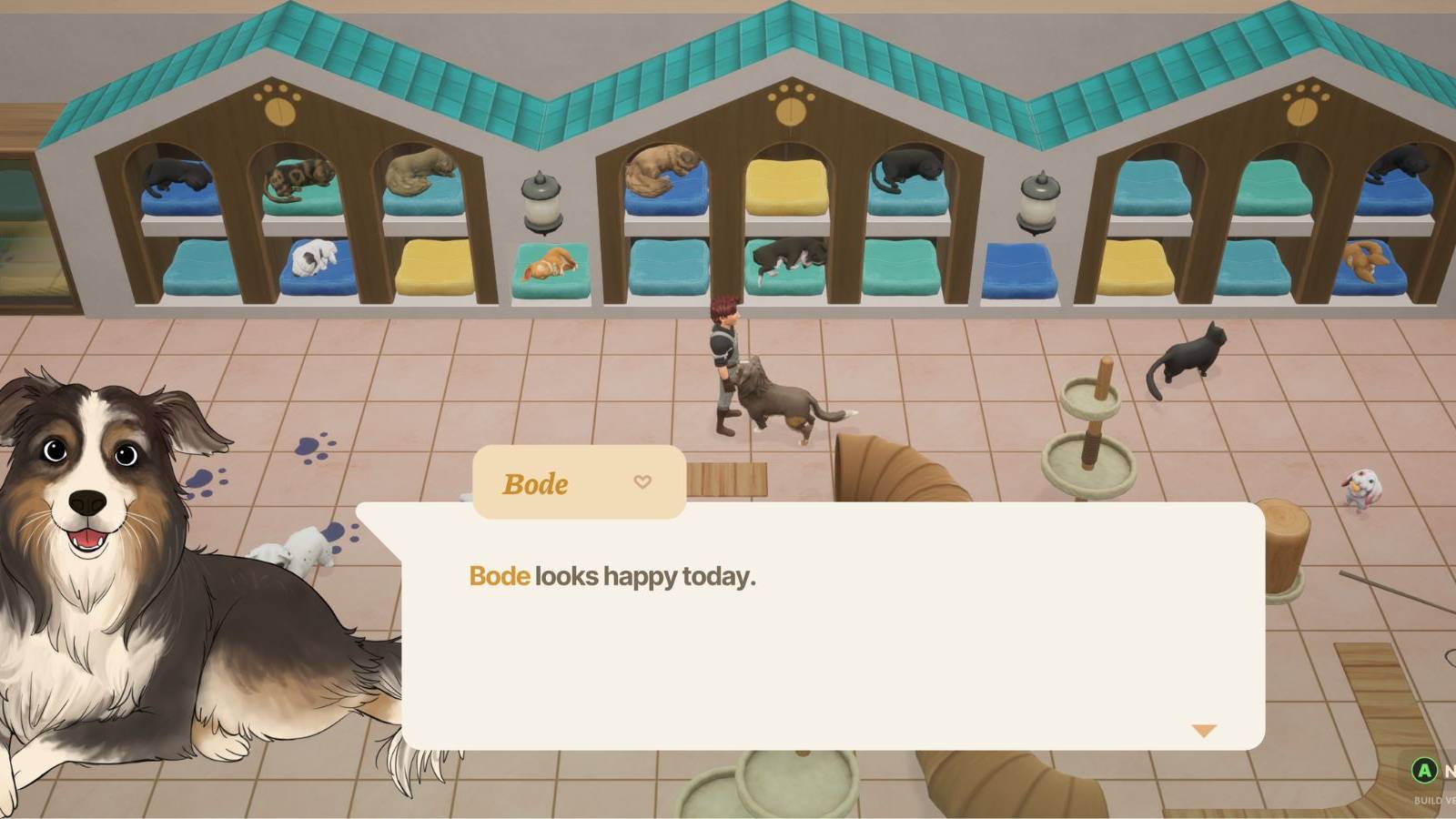 a pet dog in coral island.