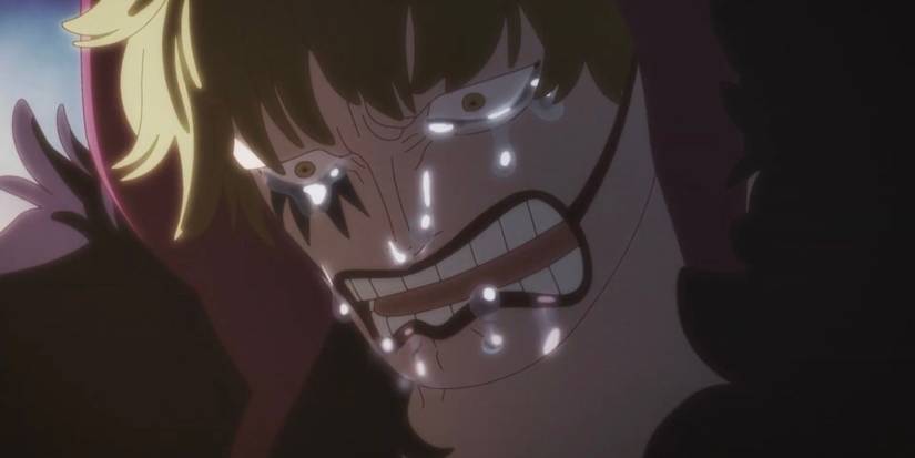 corazon gut wrenching quotes in one piece