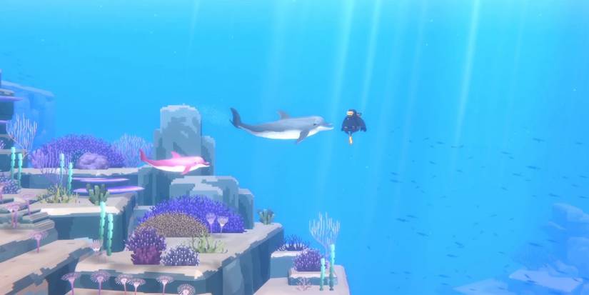 Dave the diver Dolphin Necklace in Defeat Pirates