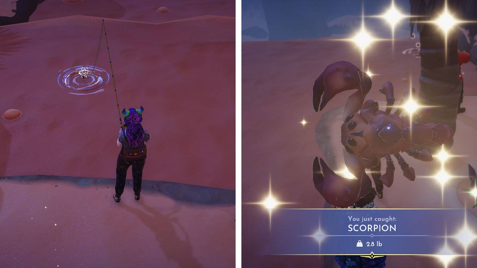 ddv-catching-scorpions-