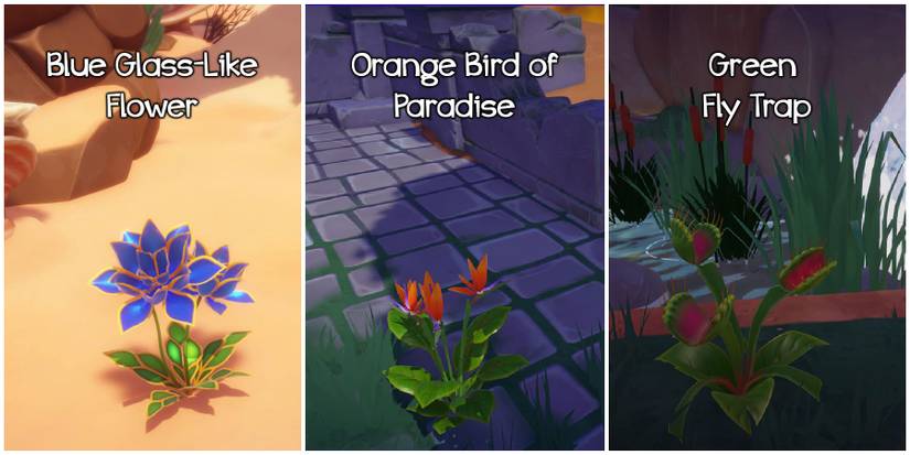 Flower Power quest flowers in Disney Dreamlight Valley.