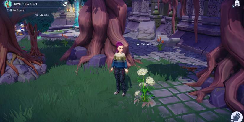 cumin plant location disney dreamlight valley 