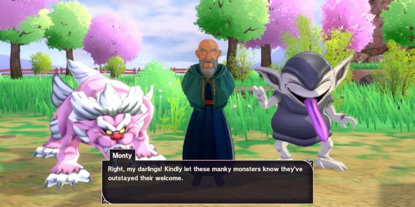 Dragon Quest Monsters The Dark Prince