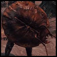 Elden Ring - Ants Skull Plate Greatshield
