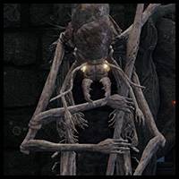 Elden Ring - Lesser Kindred of Rot