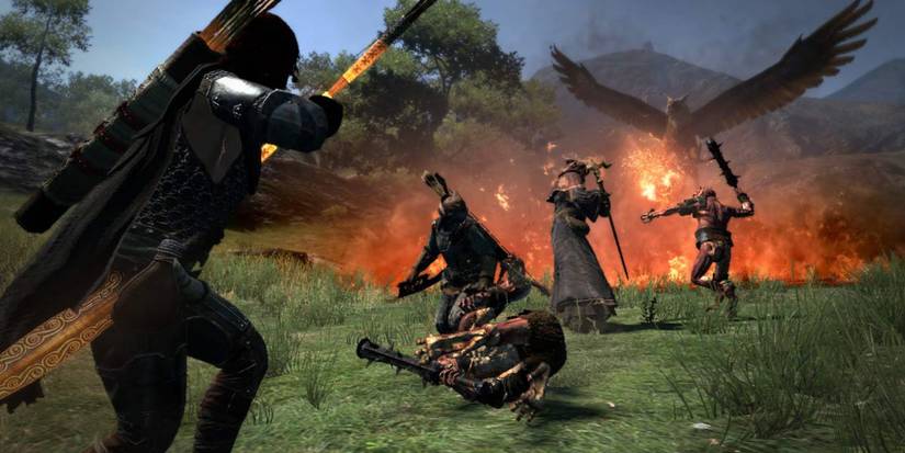 Example Of Dragon's Dogma Combat