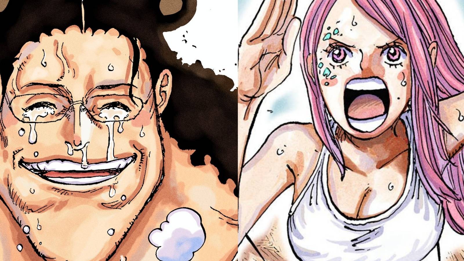 featured one piece kuma and bonneys separation