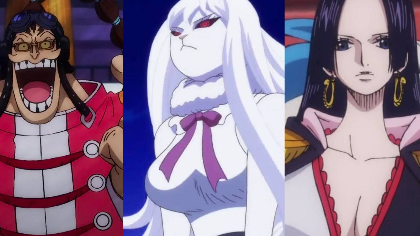 featured one piece strongest tribes kuja tribe mink tribe longarm tribe