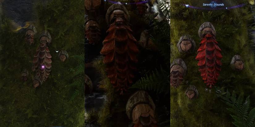 fine superior exquisite snakewood cone avatar fop