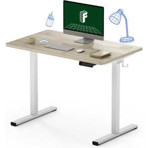 Flexispot Electric Standing Desk