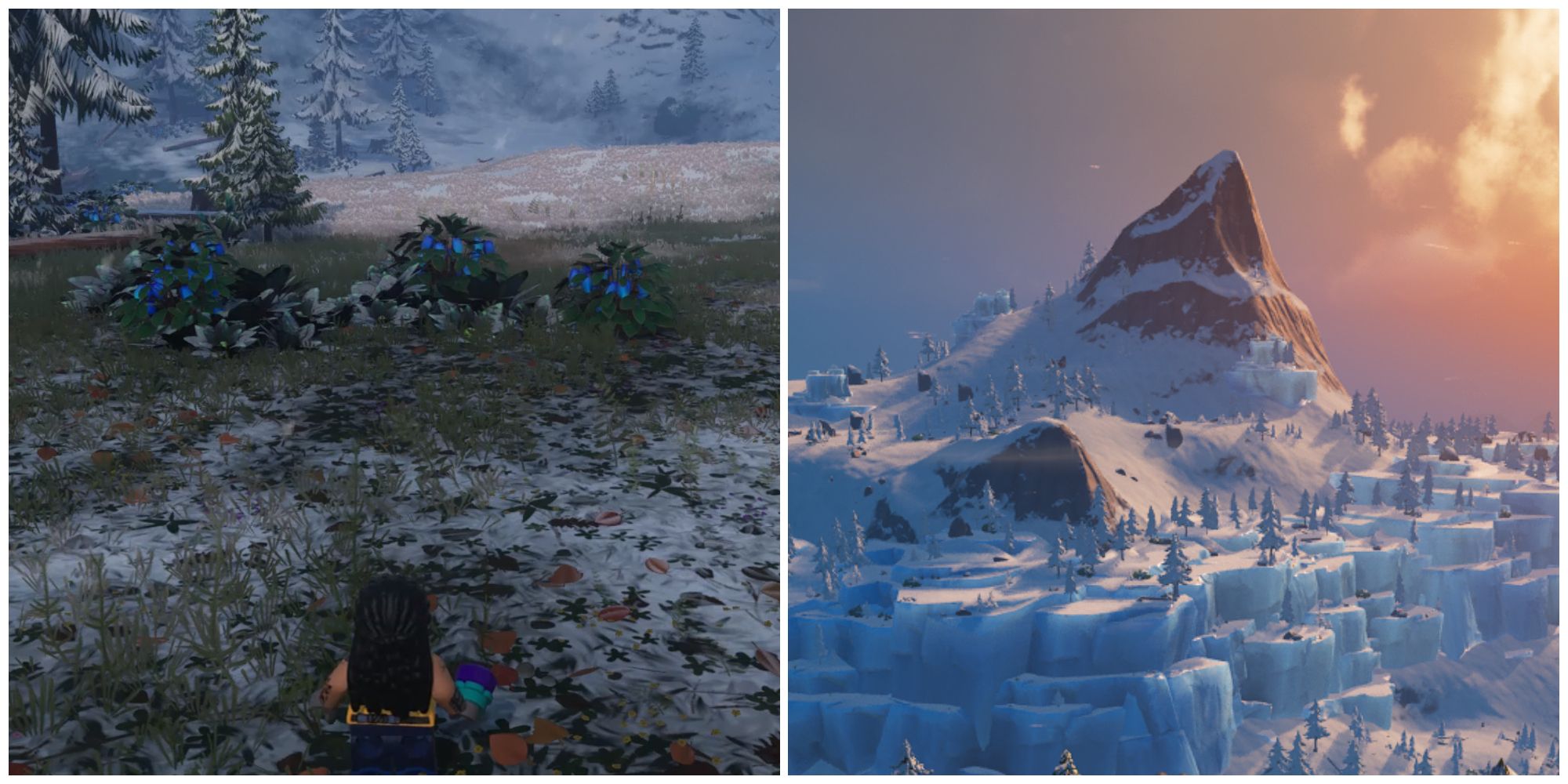 Split image of a character standing in front of some Snow Berries and a shot of a Frostlands Biome in Lego Fortnite