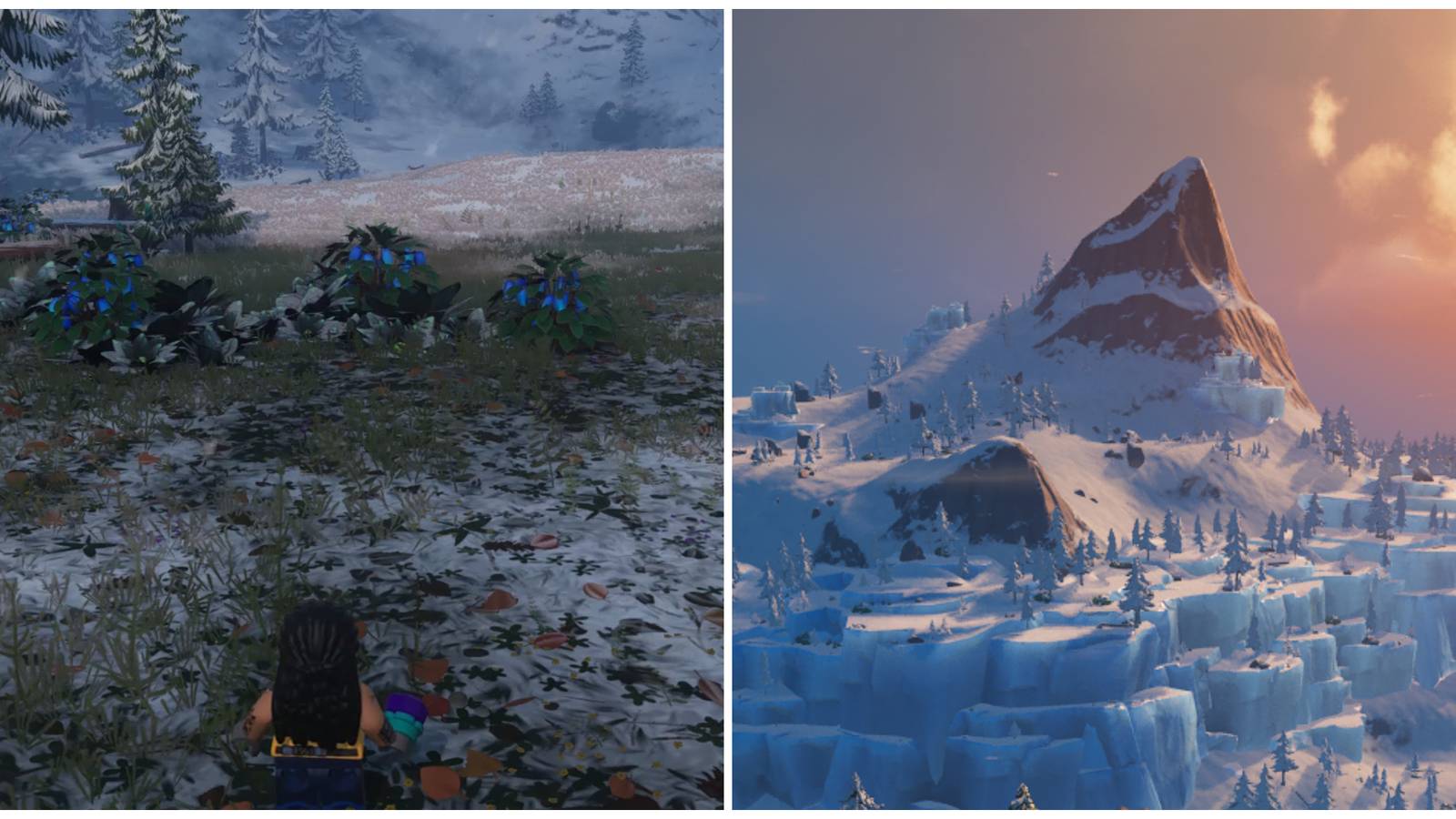Split image of a character standing in front of some Snow Berries and a shot of a Frostlands Biome in Lego Fortnite