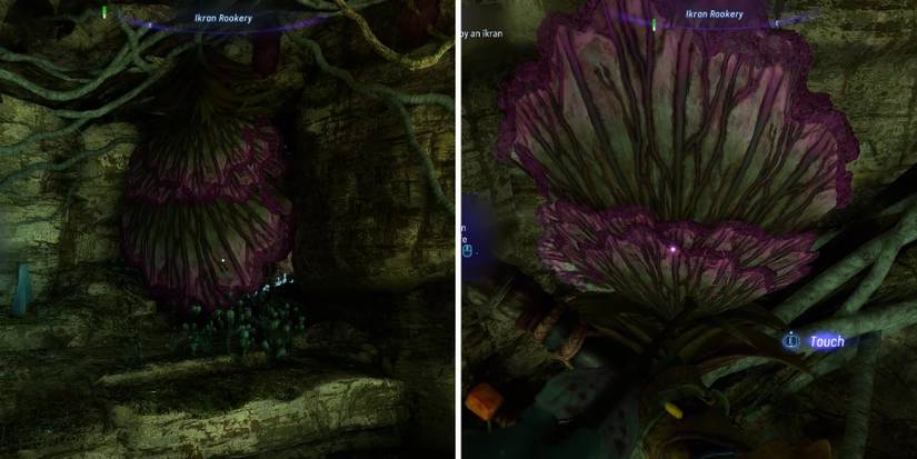 gateway lily in avatar frontiers of pandora