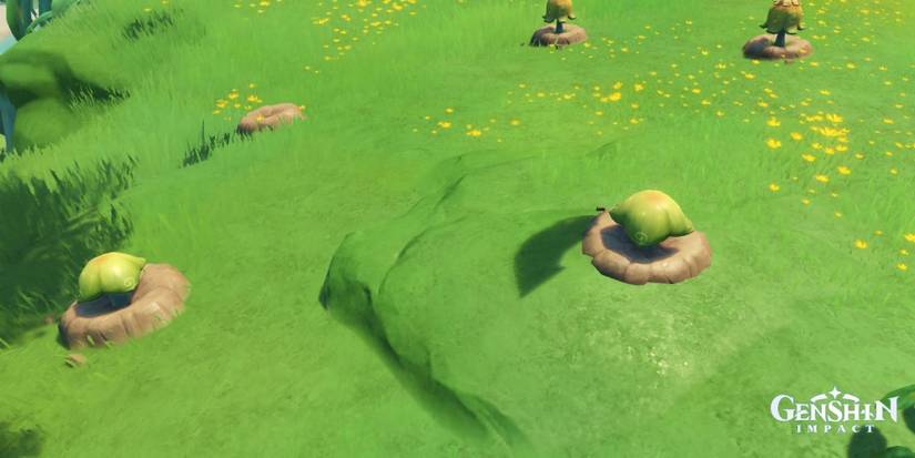 Genshin Impact Commission - Hammer of the Mushrooms